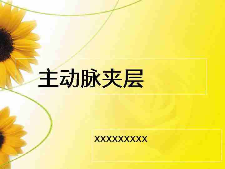 主动脉夹层-讲课课件