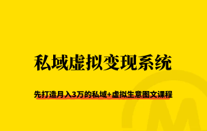 私域虚拟变现系统课：揭秘普通人月入3万的虚拟生意路径