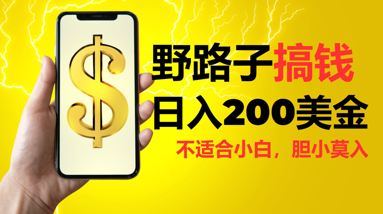 野路子搞钱，日入200美金，路子很野，小白莫入