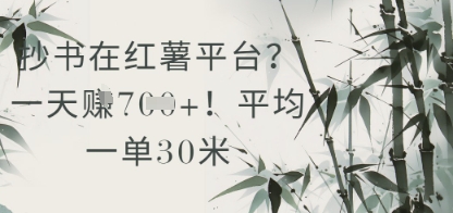 抄书在小红薯平台？平均一单30米，一天收益几张！