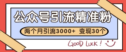 公众号精准粉引流玩法，2个月3000+精准粉，变现30个W【揭秘】