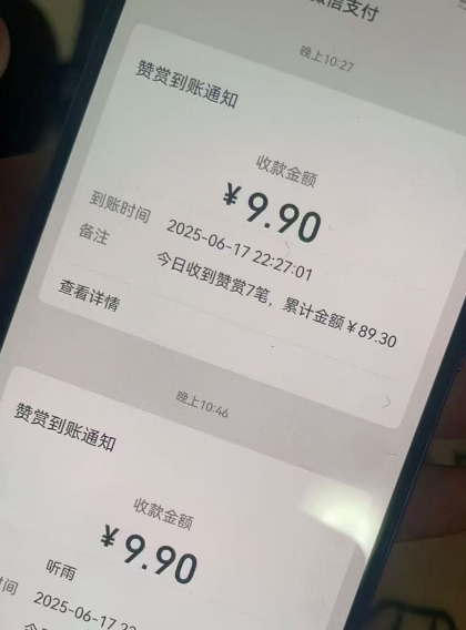二次元男粉快速变现项目，私域卖虚拟产品，百分利润