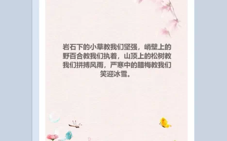鲜花粉红唯美背景Word模板