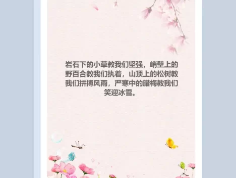 鲜花粉红唯美背景Word模板