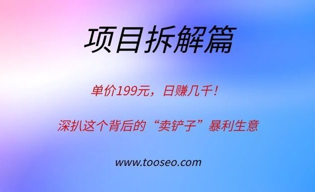 单价199元，日赚几千！深扒这个背后的“卖铲子”暴利生意