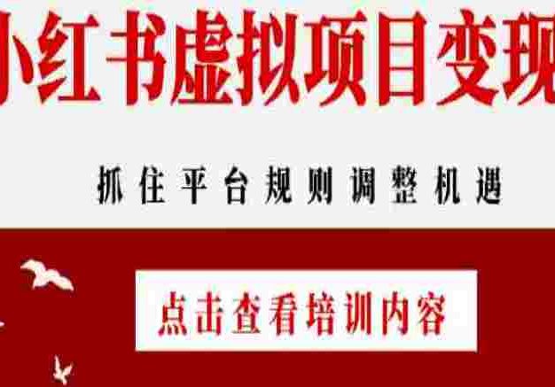 小红书虚拟项目变现课：抓住平台规则调整机遇