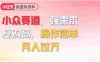 2026年就做小众赛道，强需求，复购高，号称月入过万