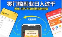 不用学技术!闲鱼 + 拼夕夕复制粘贴,号称日入过千