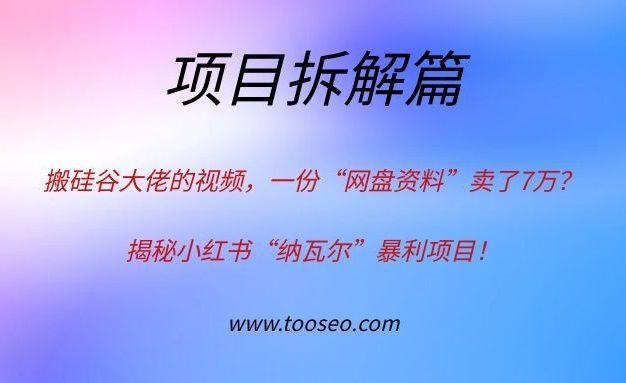 搬硅谷大佬的视频，一份“网盘资料”卖了7万？揭秘小红书“纳瓦尔”暴利项目！