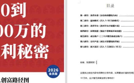 《从零到100万的盈利秘密》
