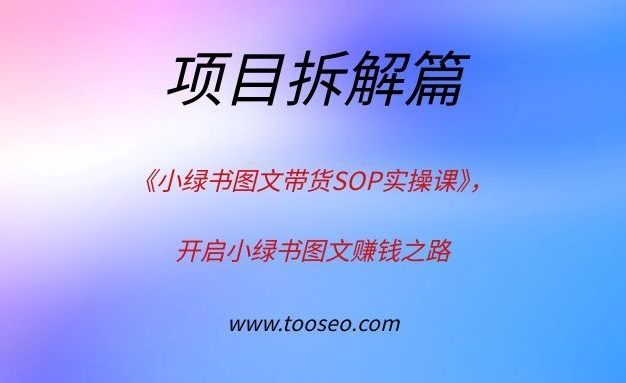《小绿书图文带货SOP实操课》，开启小绿书图文赚钱之路