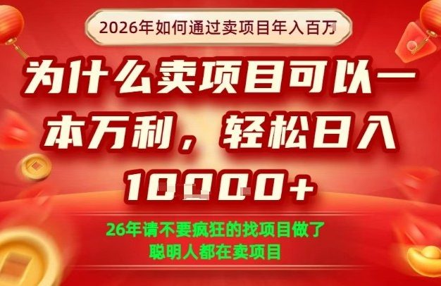 一单净利润1K+，26年想年入100个W，死磕卖项目就够了【揭秘】