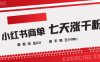 小红书商单2.0最新玩法，3天涨千粉单日变现多张