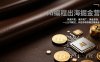 AI编程出海掘金营：快速开发、海外推广、美金变现，一人公司模式，手把手带你稳定赚美金