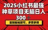 2025小红书最强种草项目，无脑日入300+，复制粘帖即可，多劳多得
