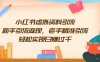 小红书虚拟资料引流，新手引流变现，老手精准引流，轻松实现日赚过千