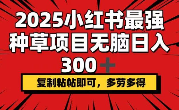 2025小红书最强种草项目，无脑日入300+，复制粘帖即可，多劳多得