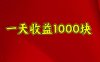 一天收益1000块，2025全网首发