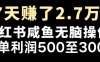 最赚钱项目之一，2025爆火，逆风翻盘！