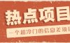 一个超冷门的信息差项目，出售各种协议模板，一个月收益竟高达20000+