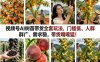 视频号AI树苗带货全套玩法，门槛低、人群广、需求稳，带货嘎嘎猛！