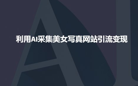 利用AI采集美女写真网站引流变现，引流嘎嘎的