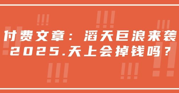 付费文章：滔天巨浪来袭！2025天上会掉钱吗？