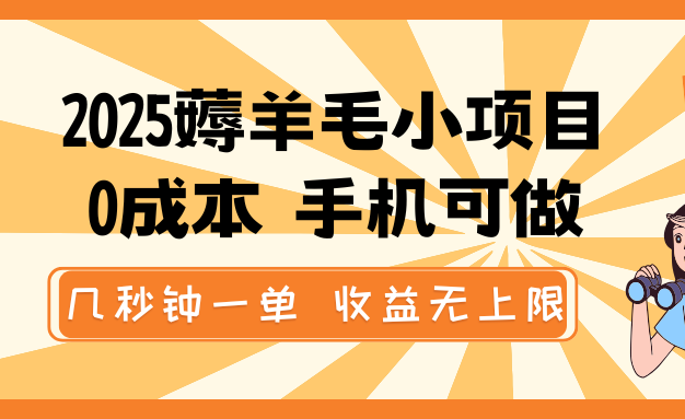 2025薅羊毛小项目，0成本 手机可做，几秒钟一单，收益无上限