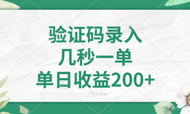 验证码录入，几秒一单，单日收益200+