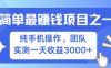 全网首发！7天赚了2.6w，小白必学，赚钱项目！