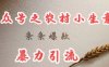 deepseek写农村小项目，条条爆款，暴力引流
