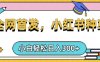小红书种草，手机项目，日入3张，复制黏贴即可，可矩阵操作，动手不动脑【揭秘】
