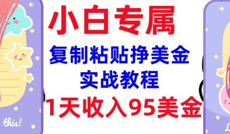 复制粘贴挣美金，0门槛，1天收入95美刀，3分钟学会，内部教程(首次公开)
