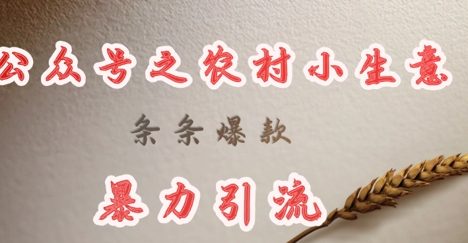 deepseek写农村小项目，条条爆款，暴力引流