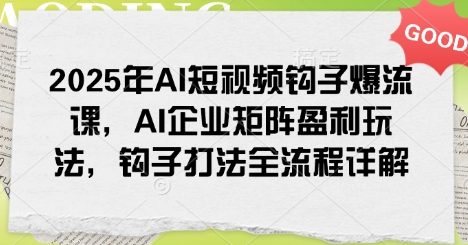 2025年AI短视频钩子爆流课，AI企业矩阵盈利玩法，钩子打法全流程详解