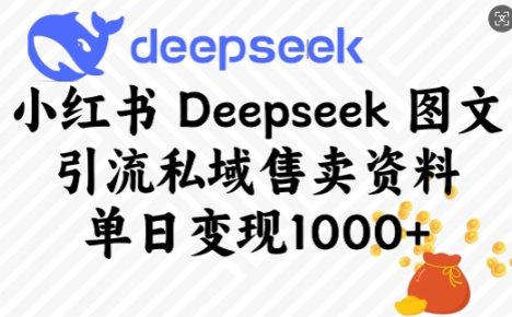 小红书Deepseek图文引流私域售卖资料，单日变现多张