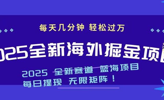 2025最新海外掘金项目 一台电脑轻松日入500+