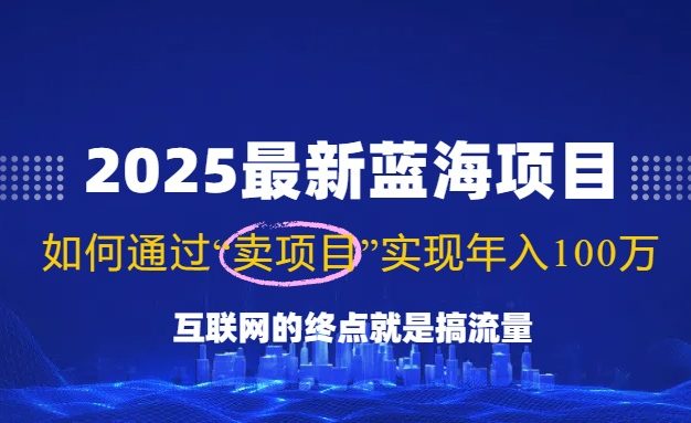 2025最新蓝海项目，零门槛轻松复制，月入10万+，新手也能操作！