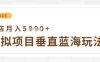 虚拟项目垂直玩法，实现单店月入5k+