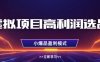 虚拟项目高利润选品方法，做好单店利润1W+，可多店倍增利润
