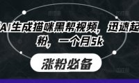 即梦AI生成猫咪黑帮视频,迅速起号涨粉,一个月5k
