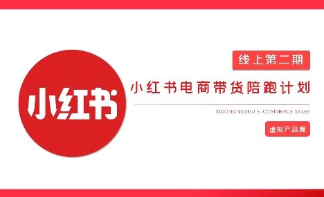 2025小红书虚拟电商实战课，从0到1打造无货源店铺，AI+爆款笔记轻松变现