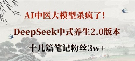 AI中医大模型杀疯了！DeepSeek中式养生2.0版本，十几篇笔记粉丝3w+