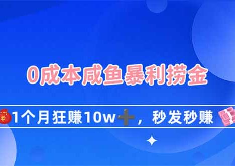 0成本闲鱼暴利捞金,1个月狂赚10W+,秒发秒赚新玩法