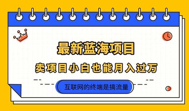 2025年最新蓝海项目，卖项目小白也能月入过万
