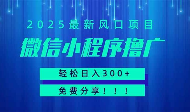 微信小程序撸广，最新风口项目，日入300+ 免费分享 可批量操作 小白可…