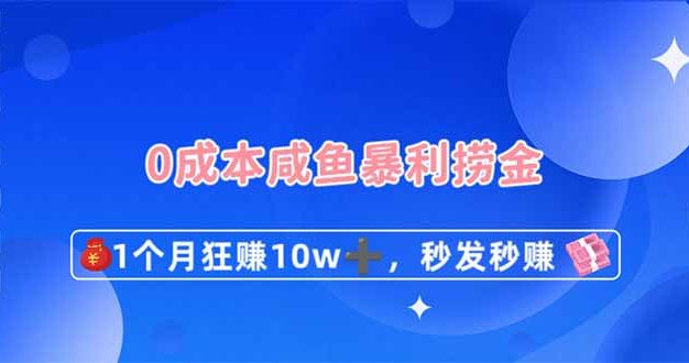 0成本闲鱼暴利捞金，1个月狂赚10W+，秒发秒赚新玩法