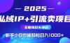 私域IP+卖项目，普通人小白也能轻松实现日入1000+