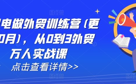 AI闪电做外贸训练营(更新25年2月)，从0到3外贸万人实战课
