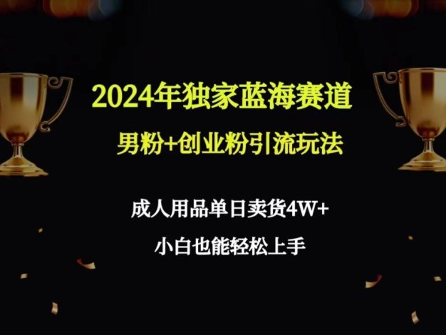 2024年独家蓝海赛道男粉+创业粉引流玩法，成人用品单日卖货4W+保姆教程